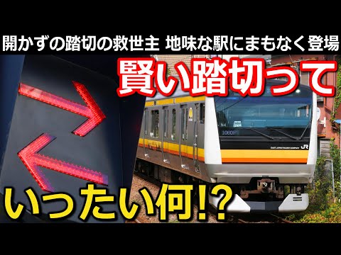 【新登場】JR東ご自慢の新兵器が地味な駅に導入される理由　誰でも使える専用改札　元〇〇道路｜JR南武線向河原駅・賢い踏切【小春六花】